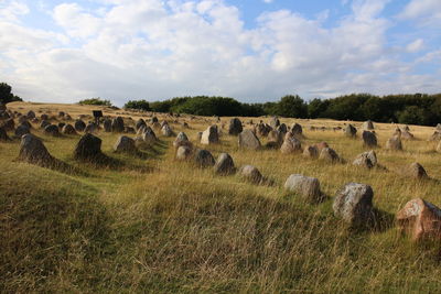 Scenic view of field against cloudy sky