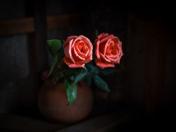 Close-up of rose bouquet