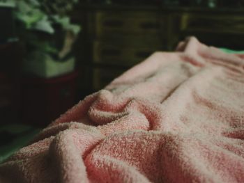 Close-up of cat lying on bed