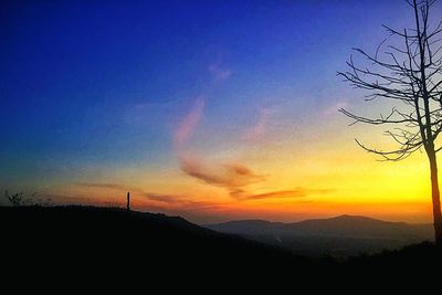 Scenic view of silhouette trees against sky during sunset