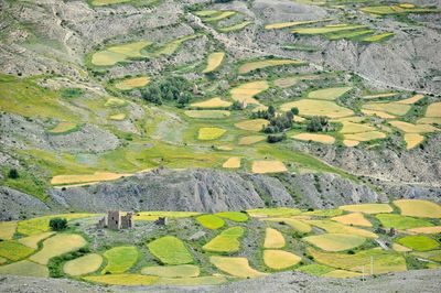 Scenic view of landscape