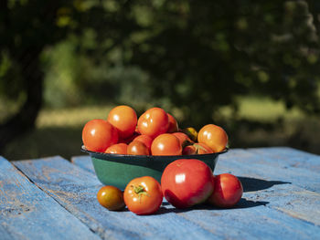 Close-up of tomatoes on table