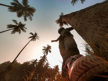 Low angle view of man climbing palm tree against sky