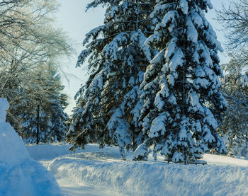 snow