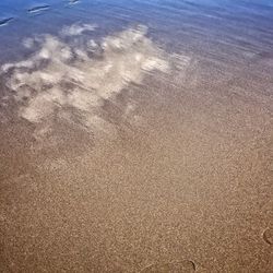 Full frame shot of sea shore