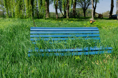 Empty bench in park