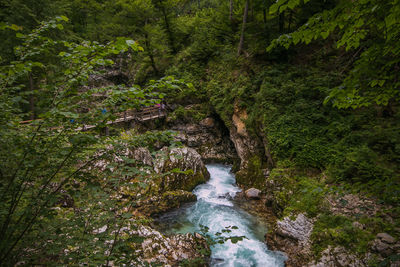 Stream flowing through rocks in forest