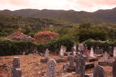 Tombstones in cemetery