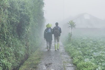A view of two farmers from behind, walking to the farm through thick fog