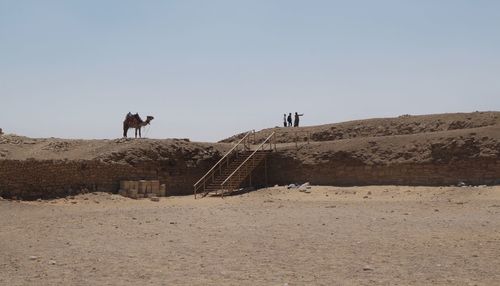 Man on desert against clear sky