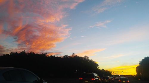 Silhouette of trees at sunset