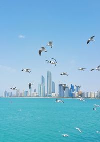 Bird flying over water