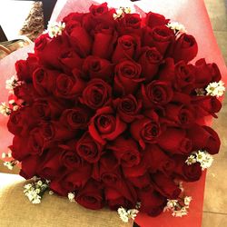 Close-up of red flowers