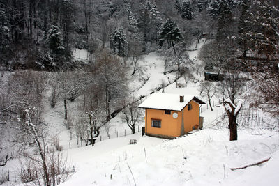 House on snow covered land by trees and buildings