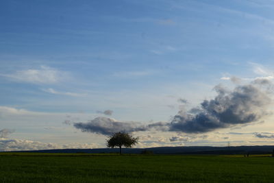 Scenic view of field against sky