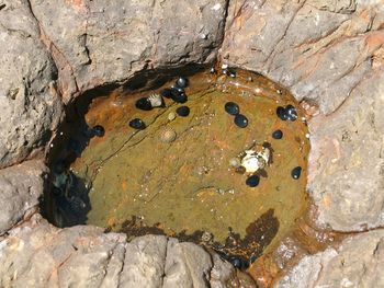 Close-up high angle view of broken ground