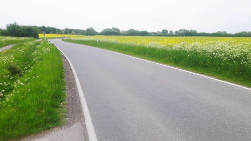 Road passing through field