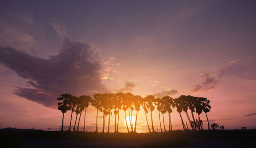 Silhouette trees against sky during sunset