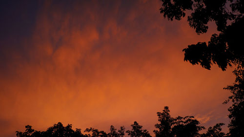 Low angle view of silhouette trees against orange sky