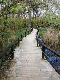 Footbridge over canal amidst trees