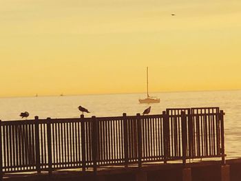 Seagulls perching on railing by sea against clear sky