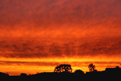 Silhouette of tree against dramatic sky