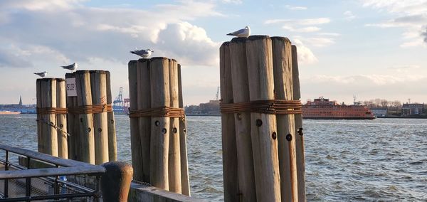 Wooden posts in sea against sky