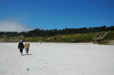 Rear view of couple walking against clear sky