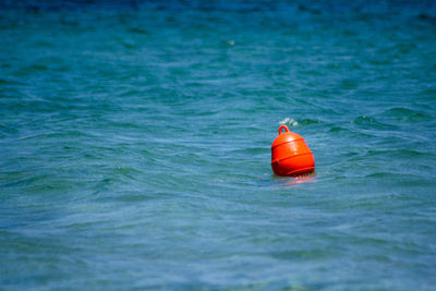 Red floating on water