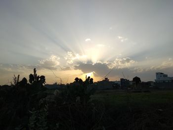 Panoramic view of trees on field against sky at sunset