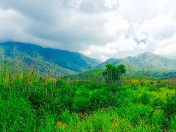 Scenic shot of mountain range