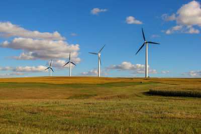 Wind turbines on grassy field