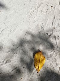 High angle view of dry leaf on sand
