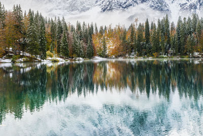 Scenic view of lake by trees during winter