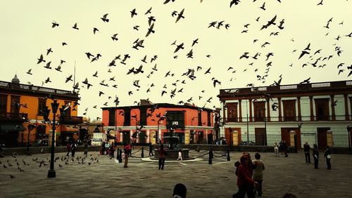 People walking in city