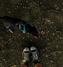 Low section of person standing on land