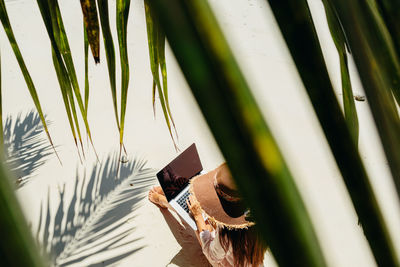 High angle view of woman using laptop while sitting at beach seen through leaves