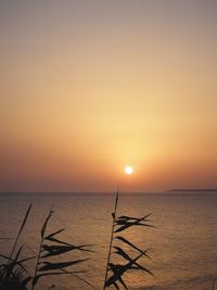 Scenic view of sea at sunset