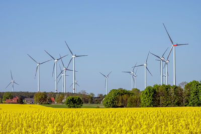 Flowering canola field with wind turbines in the back seen in germany