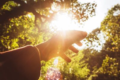 Cropped image of back lit hand against trees