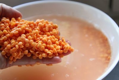 High angle view of person holding lentils