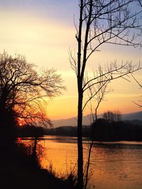 Silhouette of bare tree in lake during sunset