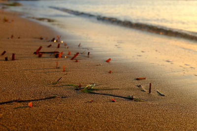 High angle view of beach