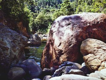 Rock formation amidst trees