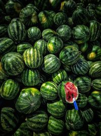 Full frame shot of watermelon for sale