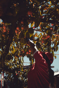 Low angle view of woman standing on tree