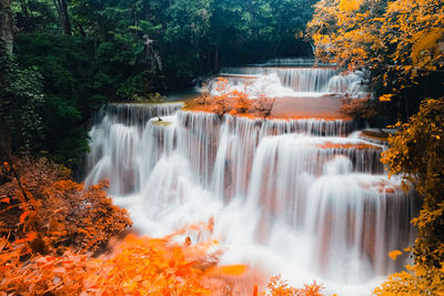 Scenic view of waterfall in forest