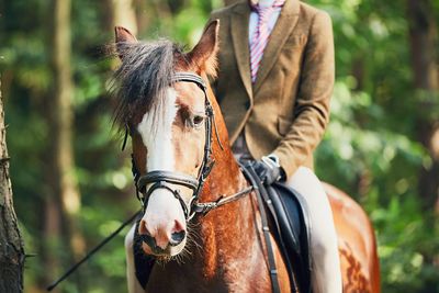 Midsection of jockey riding brown horse against trees