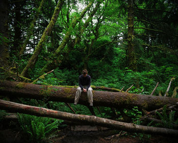 Full length of man sitting on fallen tree in forest