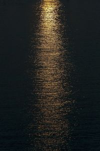 Reflection of trees in water